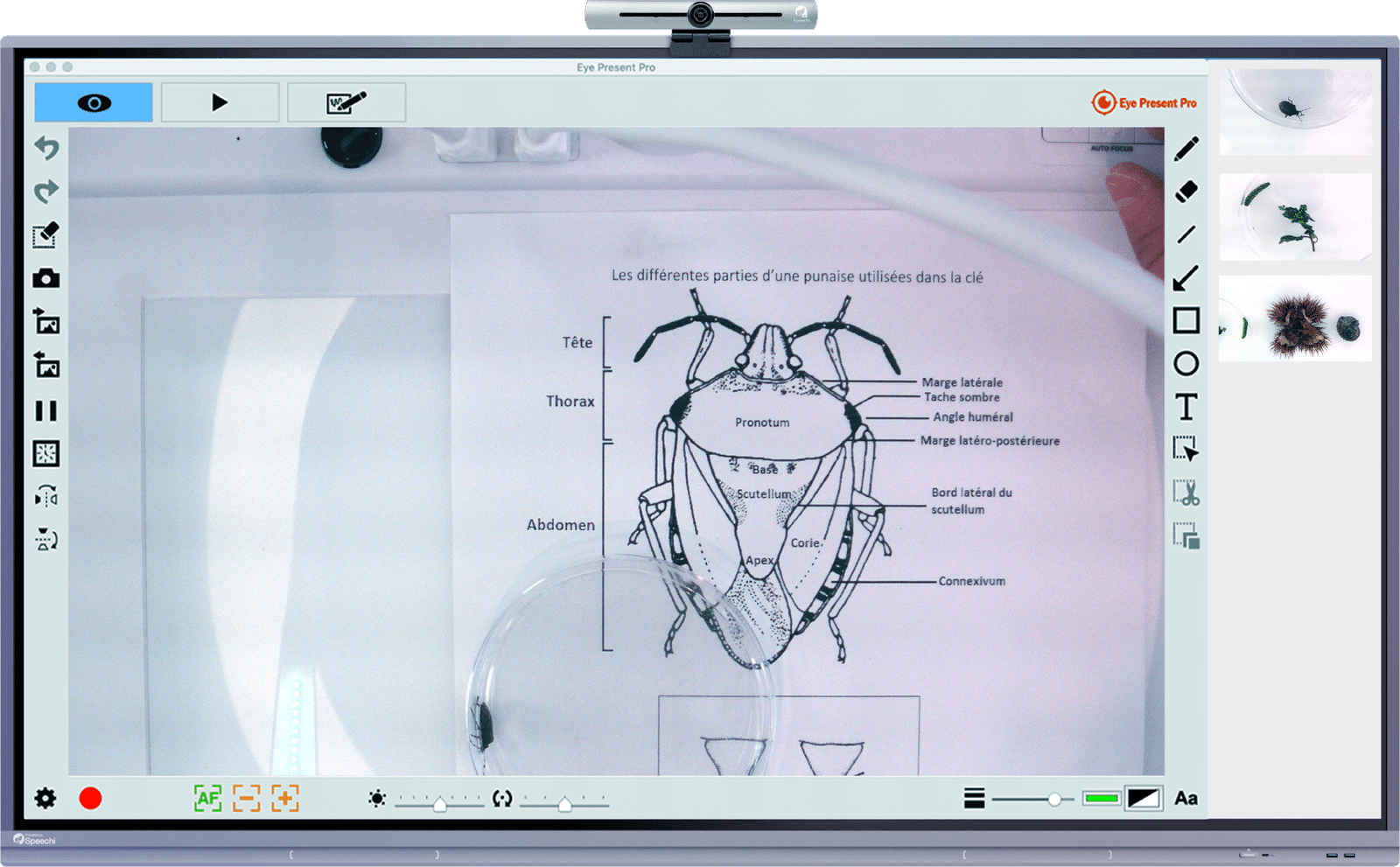 La combinaison du visualiseur tbi et Eye Candy